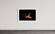 Laden Sie das Bild in den Galerie-Viewer, Hidden Places Origami Crane 2020  (signed + Frame)