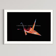 Laden Sie das Bild in den Galerie-Viewer, Hidden Places Origami Crane 2020  (signed + Frame)