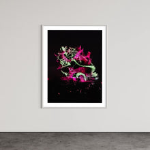 Laden Sie das Bild in den Galerie-Viewer, Hidden Places Katerbow Magnolien Baum 2022 (signed + Frame)