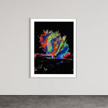 Laden Sie das Bild in den Galerie-Viewer, Hidden Places Katerbow Magnolien Baum 2022 (signed + Frame)