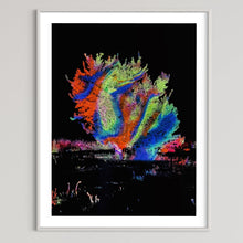 Laden Sie das Bild in den Galerie-Viewer, Hidden Places Katerbow Magnolien Baum 2022 (signed + Frame)