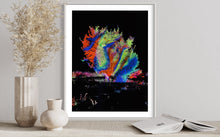 Laden Sie das Bild in den Galerie-Viewer, Hidden Places Katerbow Magnolien Baum 2022 (signed + Frame)