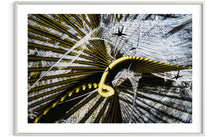 Laden Sie das Bild in den Galerie-Viewer, fragile shades - 2022 Murten Festival Schweiz Swiss Musée de Morat / Museum Murten (signed + Frame)