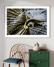 Laden Sie das Bild in den Galerie-Viewer, fragile shades - 2022 Murten Festival Schweiz Swiss Musée de Morat / Museum Murten (signed + Frame)