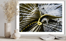 Laden Sie das Bild in den Galerie-Viewer, fragile shades - 2022 Murten Festival Schweiz Swiss Musée de Morat / Museum Murten (signed + Frame)