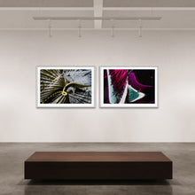 Laden Sie das Bild in den Galerie-Viewer, fragile shades - 2022 Murten Festival Schweiz Swiss Musée de Morat / Museum Murten (signed + Frame)