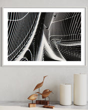 Laden Sie das Bild in den Galerie-Viewer, fragile shades - 2022 Murten Festival Schweiz Swiss Musée de Morat / Museum Murten (signed + Frame)