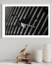 Load image into Gallery viewer, fragile shades - 2022 Murten Festival Schweiz Swiss Musée de Morat / Museum Murten (signed + Frame)