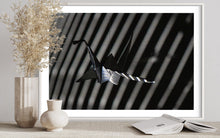 Load image into Gallery viewer, fragile shades - 2022 Murten Festival Schweiz Swiss Musée de Morat / Museum Murten (signed + Frame)