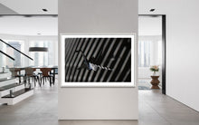 Load image into Gallery viewer, fragile shades - 2022 Murten Festival Schweiz Swiss Musée de Morat / Museum Murten (signed + Frame)