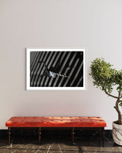 Load image into Gallery viewer, fragile shades - 2022 Murten Festival Schweiz Swiss Musée de Morat / Museum Murten (signed + Frame)