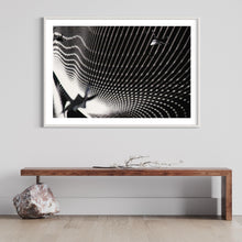 Laden Sie das Bild in den Galerie-Viewer, fragile shades - 2022 Murten Festival Schweiz Swiss Musée de Morat / Museum Murten (signed + Frame)