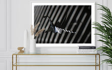 Load image into Gallery viewer, fragile shades - 2022 Murten Festival Schweiz Swiss Musée de Morat / Museum Murten (signed + Frame)