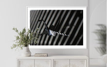 Load image into Gallery viewer, fragile shades - 2022 Murten Festival Schweiz Swiss Musée de Morat / Museum Murten (signed + Frame)