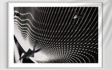 Laden Sie das Bild in den Galerie-Viewer, fragile shades - 2022 Murten Festival Schweiz Swiss Musée de Morat / Museum Murten (signed + Frame)