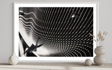 Laden Sie das Bild in den Galerie-Viewer, fragile shades - 2022 Murten Festival Schweiz Swiss Musée de Morat / Museum Murten (signed + Frame)