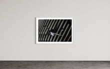 Load image into Gallery viewer, fragile shades - 2022 Murten Festival Schweiz Swiss Musée de Morat / Museum Murten (signed + Frame)