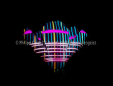 Laden Sie das Bild in den Galerie-Viewer, Hidden Places Magnolia Flower 2016  (signed + Frame)