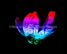 Laden Sie das Bild in den Galerie-Viewer, Hidden Places Magnolia Flower 2016  (signed + Frame)