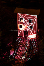 Laden Sie das Bild in den Galerie-Viewer, Berlin Hidden Places cardboard house / Papphaus 2020  (signed + Frame)