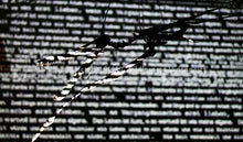 Laden Sie das Bild in den Galerie-Viewer, Frankfurt 2010 Luminale Time Shadows (signed + Frame)