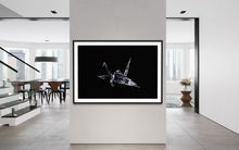 Laden Sie das Bild in den Galerie-Viewer, Hidden Places Origami Crane 2020  (signed + Frame)