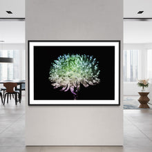 Load image into Gallery viewer, Hidden Places chrysanthemum flowers/ Chrysantheme 2019 (signed + Frame)