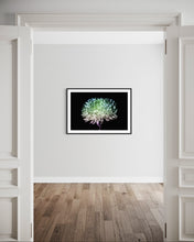 Load image into Gallery viewer, Hidden Places chrysanthemum flowers/ Chrysantheme 2019 (signed + Frame)