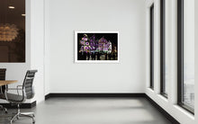 Laden Sie das Bild in den Galerie-Viewer, Weilheim 1. Lichtkunst Festival Weilheim Fades 2016 (signed + Frame)