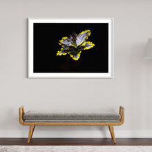 Load image into Gallery viewer, Hidden Places Lilie/ lily Flower 2019  (signed + Frame)