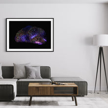 Load image into Gallery viewer, Hidden Places Stein/ Stone 2021 (signed + Frame)