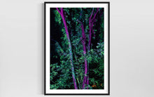 Laden Sie das Bild in den Galerie-Viewer, Hidden Places Project India 2017  (signed + Frame)