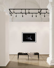 Laden Sie das Bild in den Galerie-Viewer, Hidden Places Origami Crane 2020  (signed + Frame)