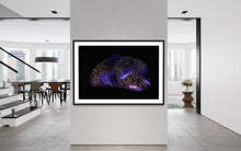 Load image into Gallery viewer, Hidden Places Stein/ Stone 2021 (signed + Frame)