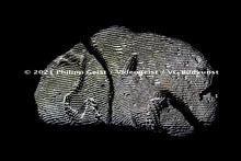 Load image into Gallery viewer, Hidden Places Stein/ Stone 2021 (signed + Frame)