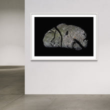 Load image into Gallery viewer, Hidden Places Stein/ Stone 2021 (signed + Frame)