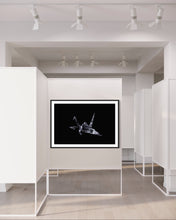 Laden Sie das Bild in den Galerie-Viewer, Hidden Places Origami Crane 2020  (signed + Frame)