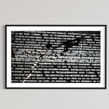 Laden Sie das Bild in den Galerie-Viewer, Frankfurt 2010 Luminale Time Shadows (signed + Frame)