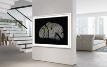 Load image into Gallery viewer, Hidden Places Stein/ Stone 2021 (signed + Frame)