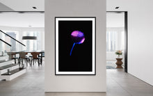 Laden Sie das Bild in den Galerie-Viewer, Berlin Hidden Places blowball/ dandelion/  Pusteblume 2020  (signed + Frame)