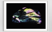 Load image into Gallery viewer, Hidden Places Stein/ Stone 2021 (signed + Frame)