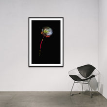 Laden Sie das Bild in den Galerie-Viewer, Berlin Hidden Places blowball/ dandelion/  Pusteblume 2020  (signed + Frame)