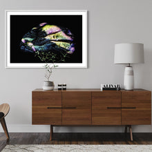 Load image into Gallery viewer, Hidden Places Stein/ Stone 2021 (signed + Frame)