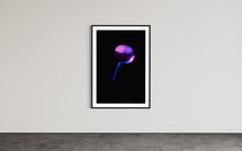 Laden Sie das Bild in den Galerie-Viewer, Berlin Hidden Places blowball/ dandelion/  Pusteblume 2020  (signed + Frame)