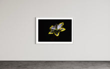 Load image into Gallery viewer, Hidden Places Lilie/ lily Flower 2019  (signed + Frame)