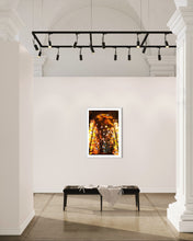 Laden Sie das Bild in den Galerie-Viewer, Munich / München Hl.Geist Kirche Unter Flügeln/ Under Wings 2019 (signed + Frame)