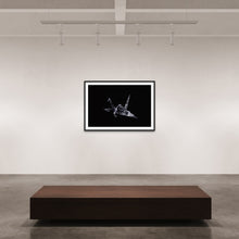 Laden Sie das Bild in den Galerie-Viewer, Hidden Places Origami Crane 2020  (signed + Frame)