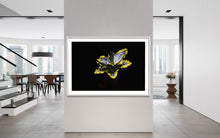 Load image into Gallery viewer, Hidden Places Lilie/ lily Flower 2019  (signed + Frame)