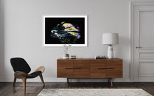 Load image into Gallery viewer, Hidden Places Stein/ Stone 2021 (signed + Frame)