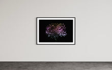 Laden Sie das Bild in den Galerie-Viewer, Hidden Places chrysanthemum flowers/ Chrysantheme 2019 (signed + Frame)